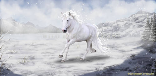 Ice Horse for Wild Horses Valley by SundaysPony
