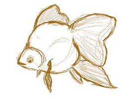 Goldfishsketch