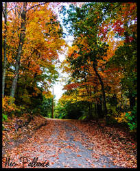 Early Autumn in Massachusettes