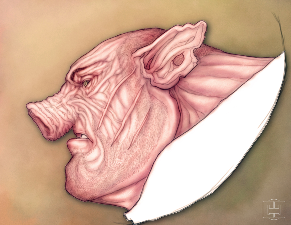 PIG HEAD