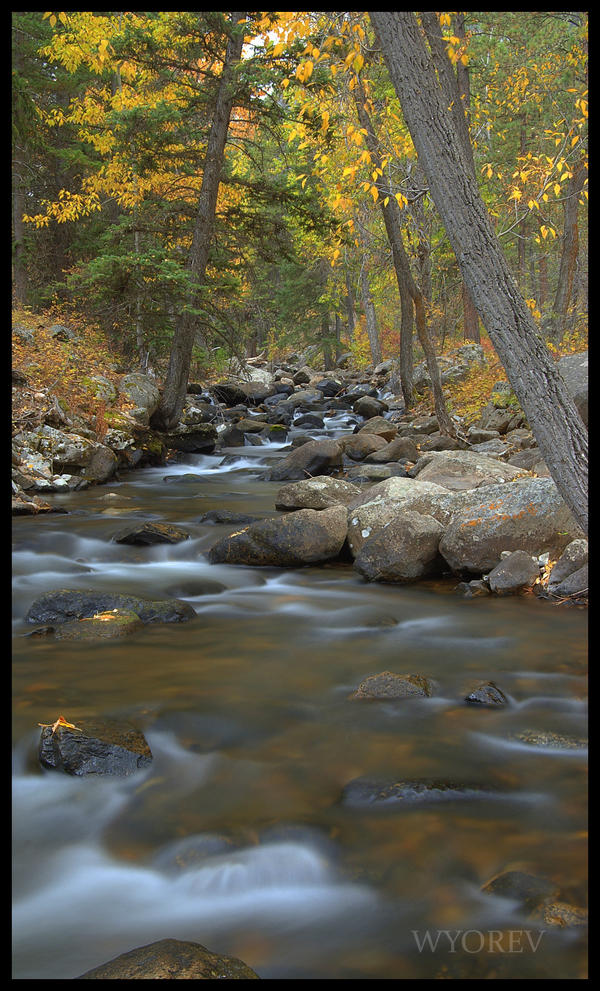 Fall in the Canyon