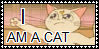 SAILOR MOON ABRIDGED STAMP 8D by SweetTails247