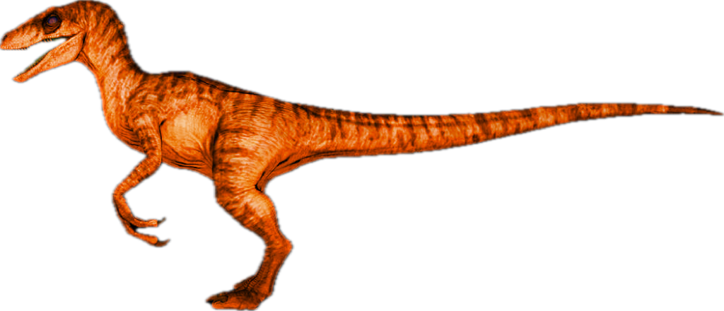 Tiger Rapta Orange heatwave tiger raptor by dinodanfan2009 on DeviantArt