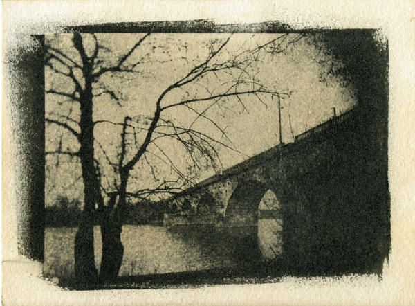 PRINT gum bichromate 003