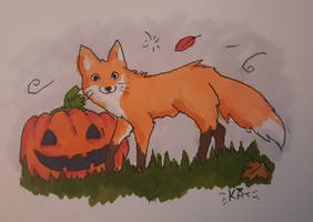 Fox and pumpkin 