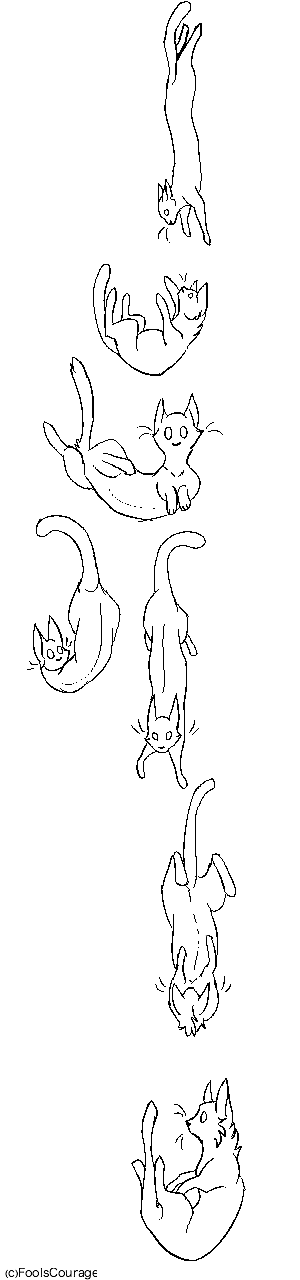 Falling Cats. (Line Art) by mickleo on DeviantArt