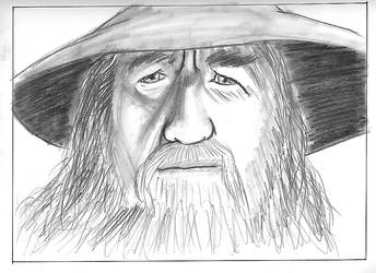 DF - Portrait - Gandalf