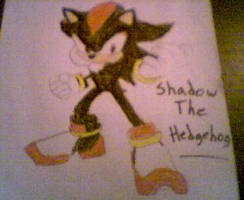 Shadow The Hedgehog