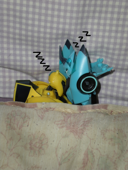 Bee and Blurr Sleeping