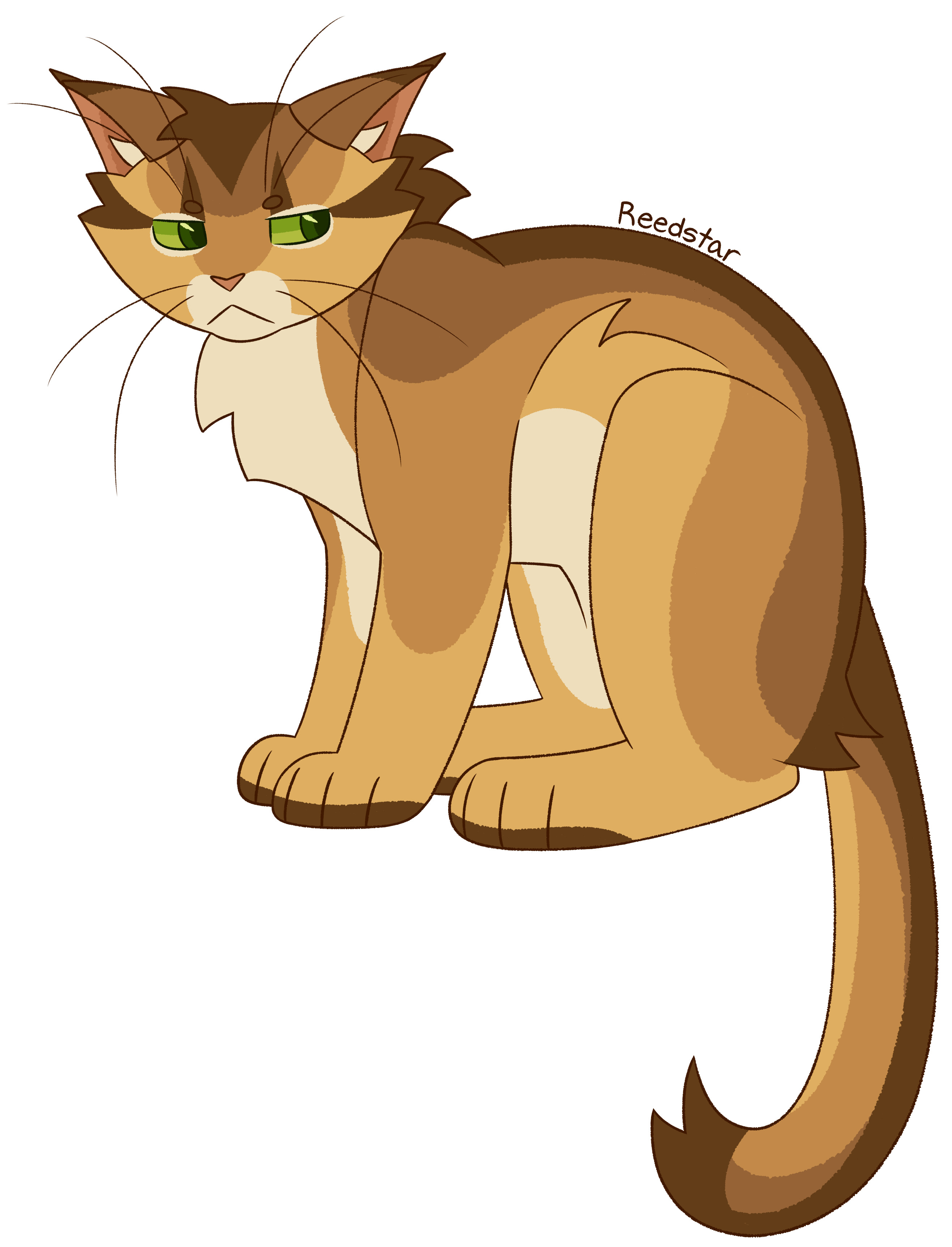 Deviantart Reedster Reedstar - 1022 by LemnnShark0 on DeviantArt