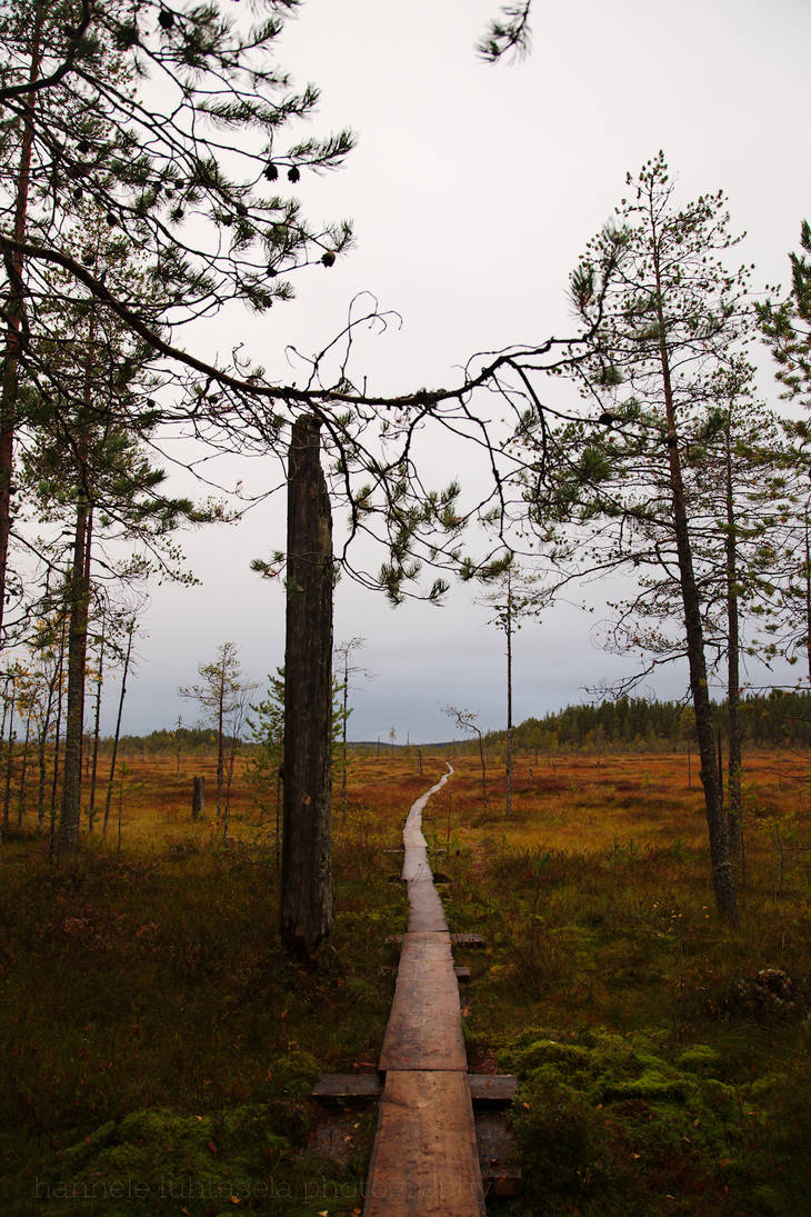 the one path by raido-ehwaz on DeviantArt
