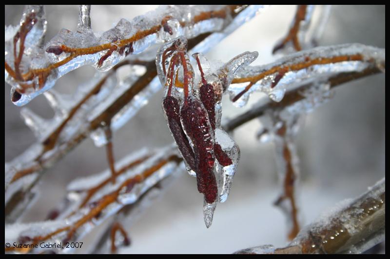 On Icicle Hill