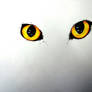 Cat eyes