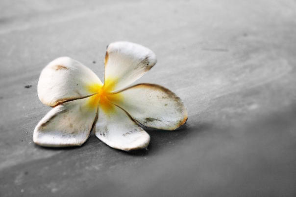 Fading Life by iandy7 on DeviantArt