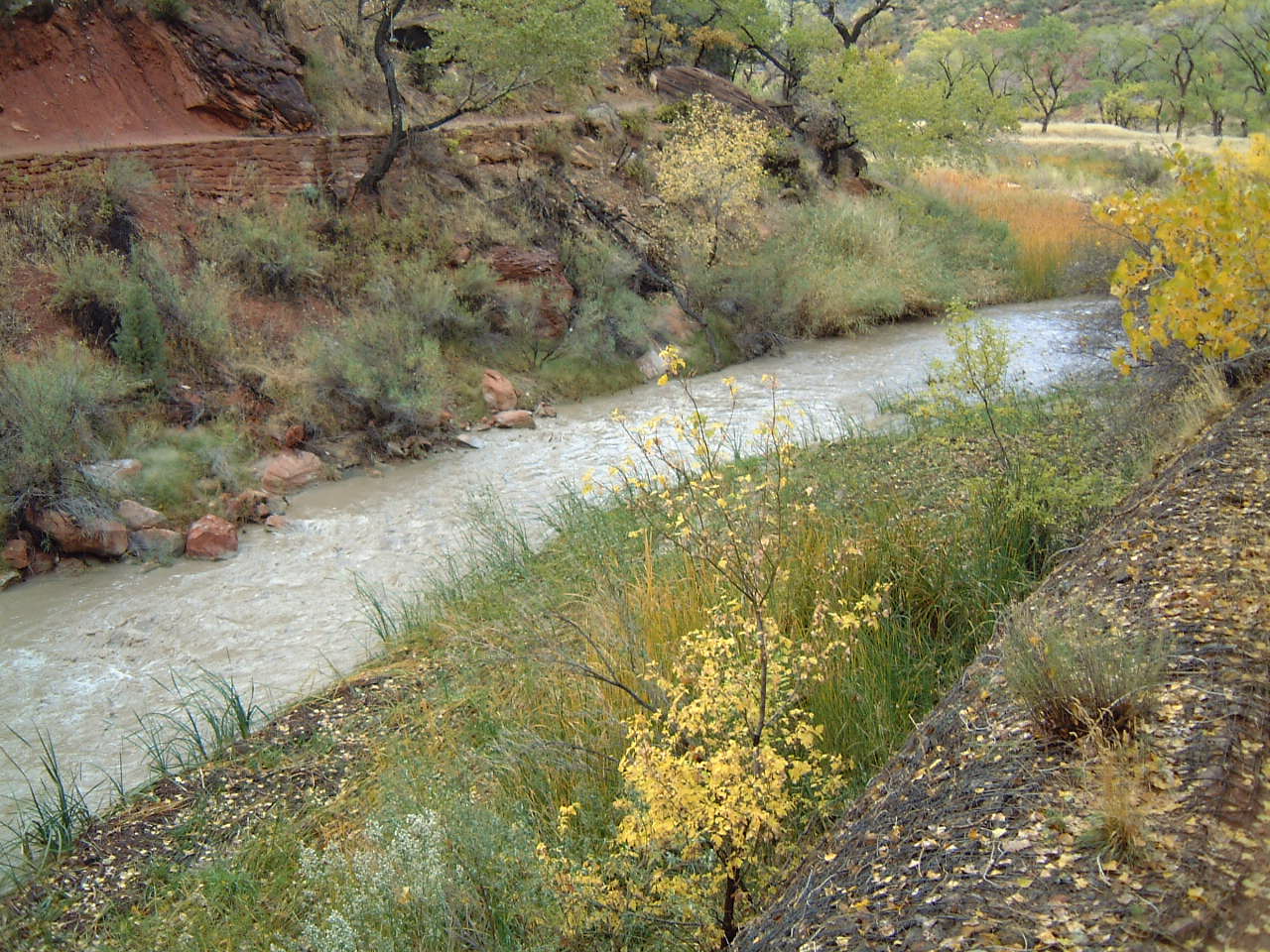 Grand Canyon 5