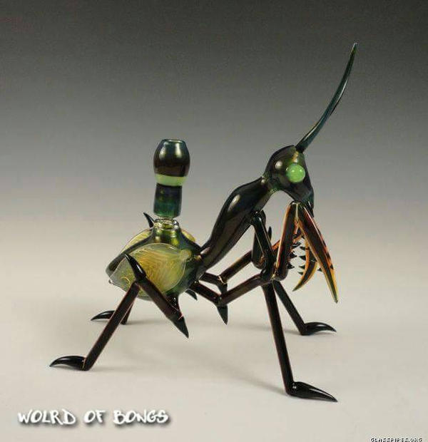 Insect Rig by kirsty420 on DeviantArt