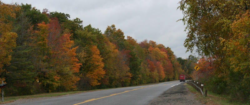 Maple Road by Nirr on DeviantArt