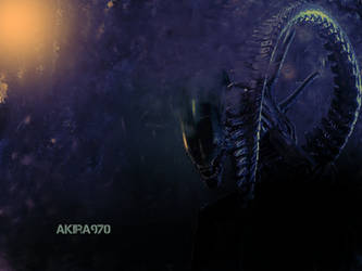 Alien vs Predator Wallpaper