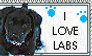 Black Lab stamp
