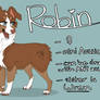 Robin ref