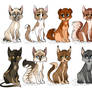.:Kitten Adoptables:. CLOSED