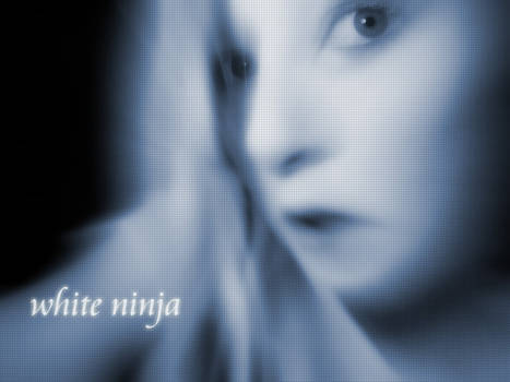 e-bandit's White Ninja