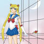 Sailor Moon S