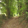 Hobbit Track 1