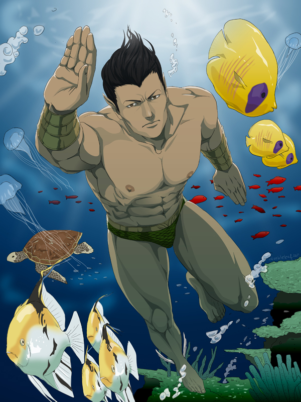 Commission:Namor