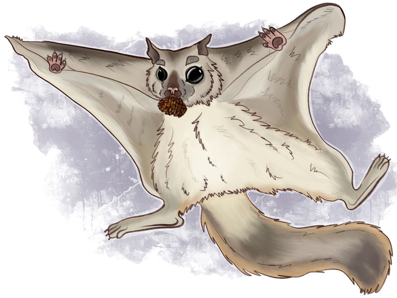Flying Squirrel Graphics Flying squirrel by Deriidiot on DeviantArt