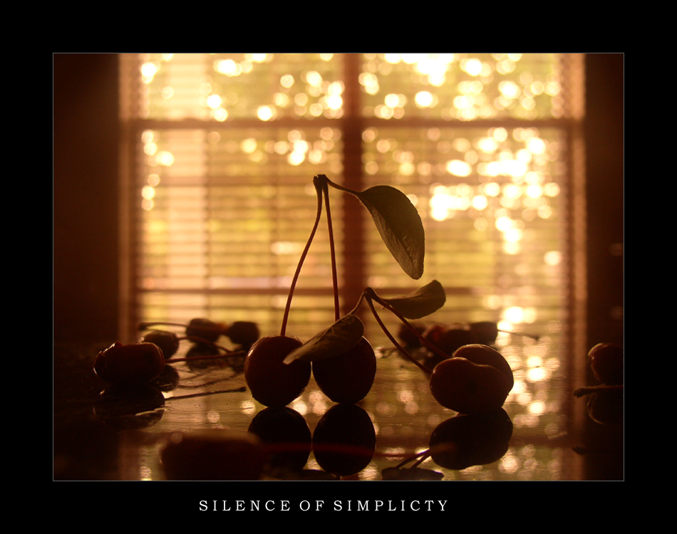 Silence Of Simplicity