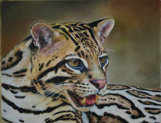 Ocelot by ArtbyAnuR