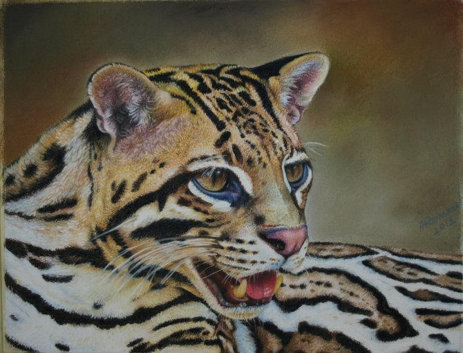 Abstract Ocelot Ocelot by ArtbyAnuR on DeviantArt