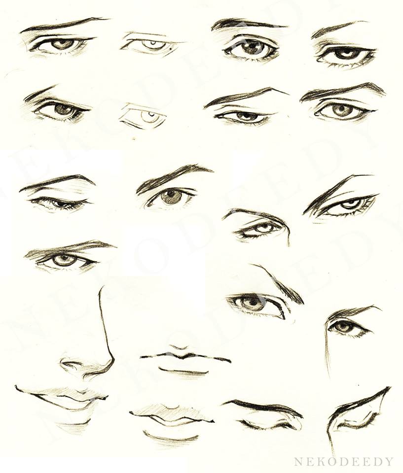 Male Eyes by Rob-u on DeviantArt  Eye drawing, Male eyes, Boy drawing