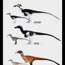 The Isle Skin Concepts - Austroraptor - Part 1