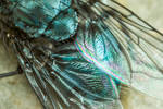 Img 0488-1 by snomanda