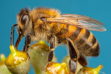 Img 7986-1 by snomanda