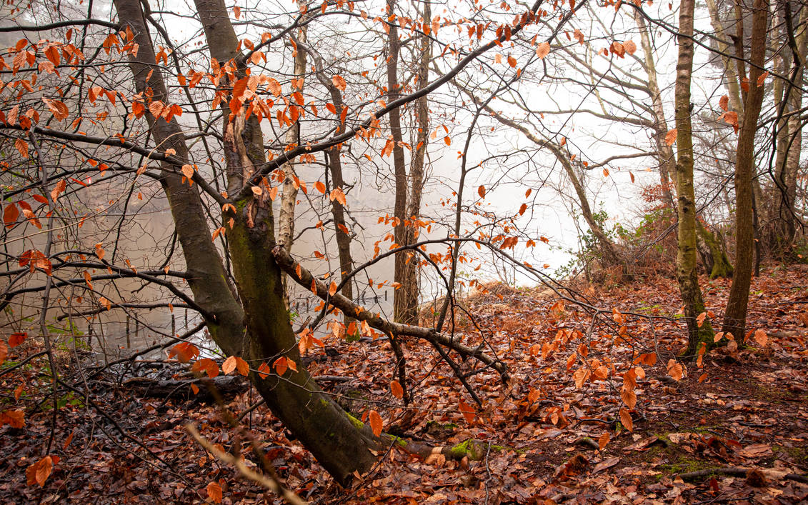 Slanted Fall Fall, Falling, Fallen by snomanda on DeviantArt