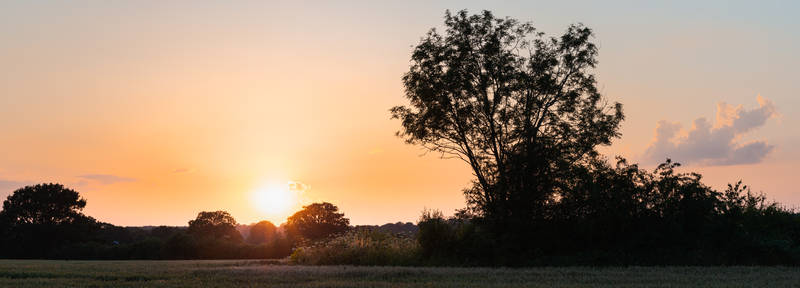 Pano Rowan