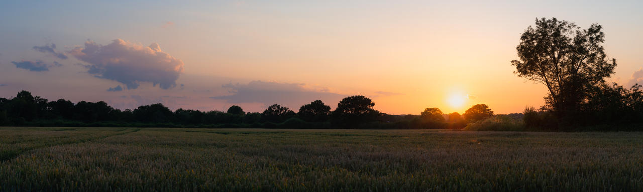 IMAGE: https://images-wixmp-ed30a86b8c4ca887773594c2.wixmp.com/f/b23df496-bf0d-4eb7-a163-68d444b6caa5/deny0sq-6e041744-bba0-468e-a4fd-7214d83c017d.jpg/v1/fill/w_1280,h_383,q_75,strp/transmission_by_snomanda_deny0sq-fullview.jpg?token=eyJ0eXAiOiJKV1QiLCJhbGciOiJIUzI1NiJ9.eyJzdWIiOiJ1cm46YXBwOjdlMGQxODg5ODIyNjQzNzNhNWYwZDQxNWVhMGQyNmUwIiwiaXNzIjoidXJuOmFwcDo3ZTBkMTg4OTgyMjY0MzczYTVmMGQ0MTVlYTBkMjZlMCIsIm9iaiI6W1t7ImhlaWdodCI6Ijw9MzgzIiwicGF0aCI6IlwvZlwvYjIzZGY0OTYtYmYwZC00ZWI3LWExNjMtNjhkNDQ0YjZjYWE1XC9kZW55MHNxLTZlMDQxNzQ0LWJiYTAtNDY4ZS1hNGZkLTcyMTRkODNjMDE3ZC5qcGciLCJ3aWR0aCI6Ijw9MTI4MCJ9XV0sImF1ZCI6WyJ1cm46c2VydmljZTppbWFnZS5vcGVyYXRpb25zIl19.t6cuVI558EsKScx_T5sdt3c9ioZklFsi5kpa8H2mpuA