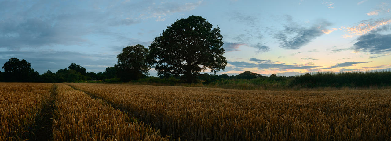 IMAGE: https://images-wixmp-ed30a86b8c4ca887773594c2.wixmp.com/f/b23df496-bf0d-4eb7-a163-68d444b6caa5/deo8urv-096cba5f-d276-4b54-abbd-c8646e69acba.jpg/v1/fill/w_1280,h_463,q_75,strp/panoramic_twilight_by_snomanda_deo8urv-fullview.jpg?token=eyJ0eXAiOiJKV1QiLCJhbGciOiJIUzI1NiJ9.eyJzdWIiOiJ1cm46YXBwOjdlMGQxODg5ODIyNjQzNzNhNWYwZDQxNWVhMGQyNmUwIiwiaXNzIjoidXJuOmFwcDo3ZTBkMTg4OTgyMjY0MzczYTVmMGQ0MTVlYTBkMjZlMCIsIm9iaiI6W1t7ImhlaWdodCI6Ijw9NDYzIiwicGF0aCI6IlwvZlwvYjIzZGY0OTYtYmYwZC00ZWI3LWExNjMtNjhkNDQ0YjZjYWE1XC9kZW84dXJ2LTA5NmNiYTVmLWQyNzYtNGI1NC1hYmJkLWM4NjQ2ZTY5YWNiYS5qcGciLCJ3aWR0aCI6Ijw9MTI4MCJ9XV0sImF1ZCI6WyJ1cm46c2VydmljZTppbWFnZS5vcGVyYXRpb25zIl19.BS2P_D9S-iPzCwMXd2aeDhCFWxqyPDgpnNeOJIuU-6g