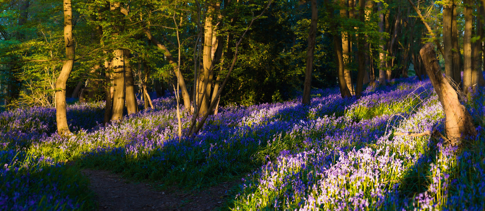 Spring Tide II by snomanda on DeviantArt