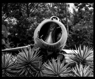 Mig in the Weeds