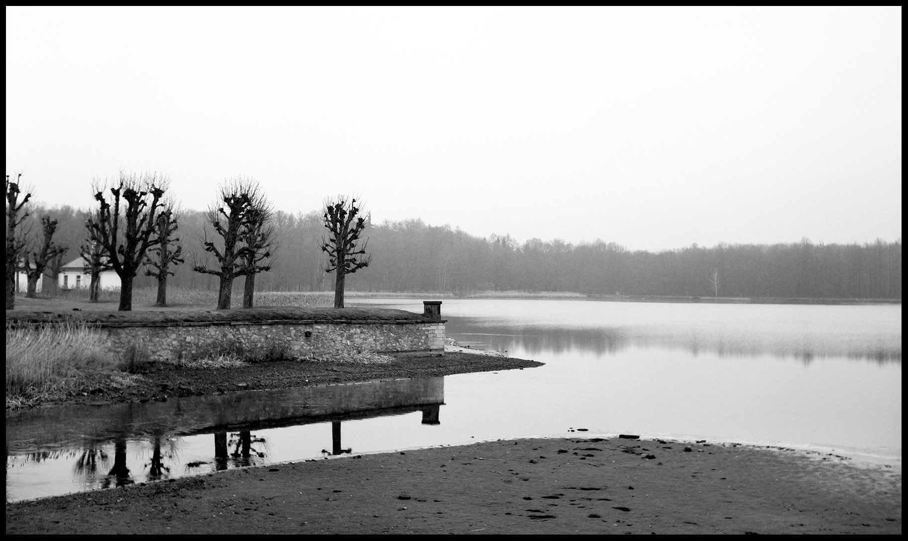 Winter Tristesse #3