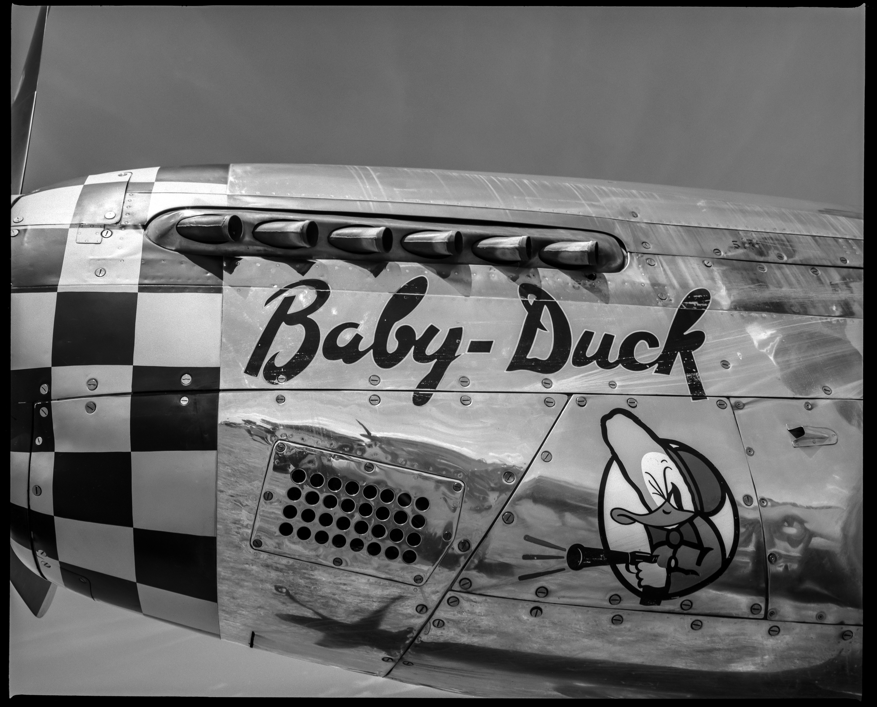 Baby Duck  #1