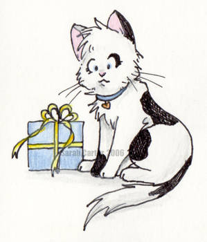 Kitten Birthday Card