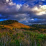 Carmel Highlands 