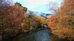 Carmel Valley River