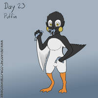 Januharpy Day 23 - Puffin