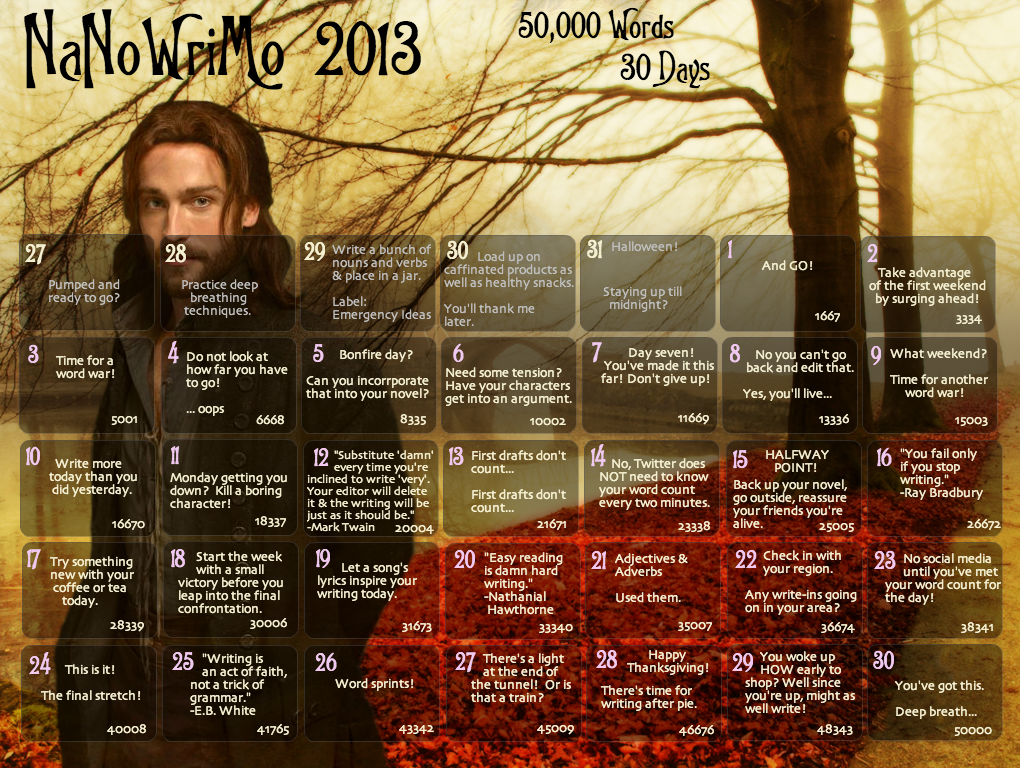 NaNoWriMo 2013 Wallpaper